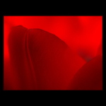 ***DEEP RED***
