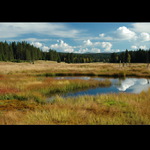 Šumavské pohlednice    Javoří pila