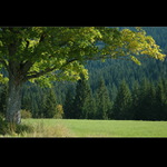 Šumavské pohlednice    Nad Vydrou