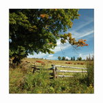 Šumavské pohlednice   Pod Hadím vrchem