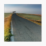 Šumavské pohlednice  Cestou..