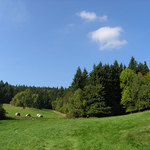 Podzimní