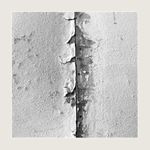 wallabstract XV