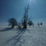 POoslednií zablesky zimy na Vysocine