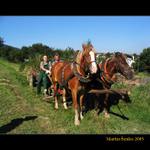 Spokojný život dedinský