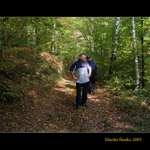 Which direction to choose?