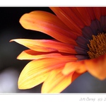 .... náladová III.