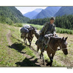 Zpátky z vysoké Altaje, zpátky domů ...