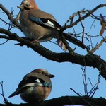 Fakt? Vážně? Ale možný to je!