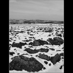 Jaro na předměstí