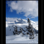 mt .Garibaldi from Cowboy ridge