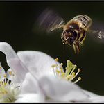 Už aby bylo jaro...