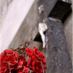 O životě po životě I.