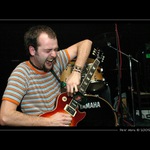 koncertofka obecná II