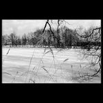 Zimní deprese aneb Jaro, kde se kurňa flákáš ?!