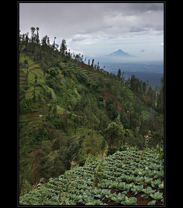 Sopka Welirang