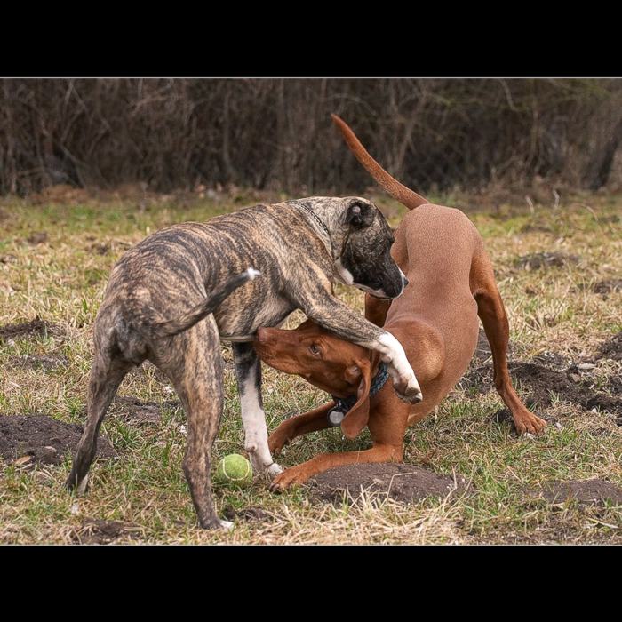 Tak ty ten tenisák nedáš... na!