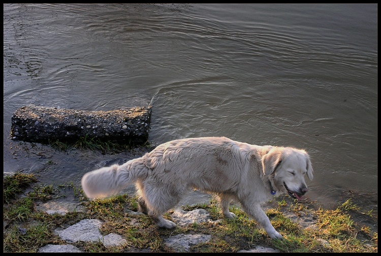 Fuj, ten Dunaj sa nedá piť... :-)
