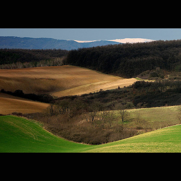 Skorá jar