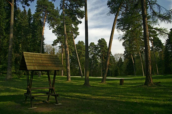 Jaro v Arboretu