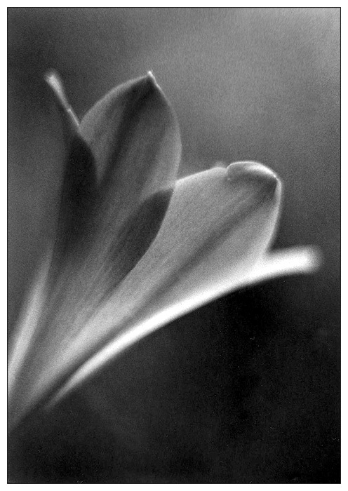 čekání na světlo