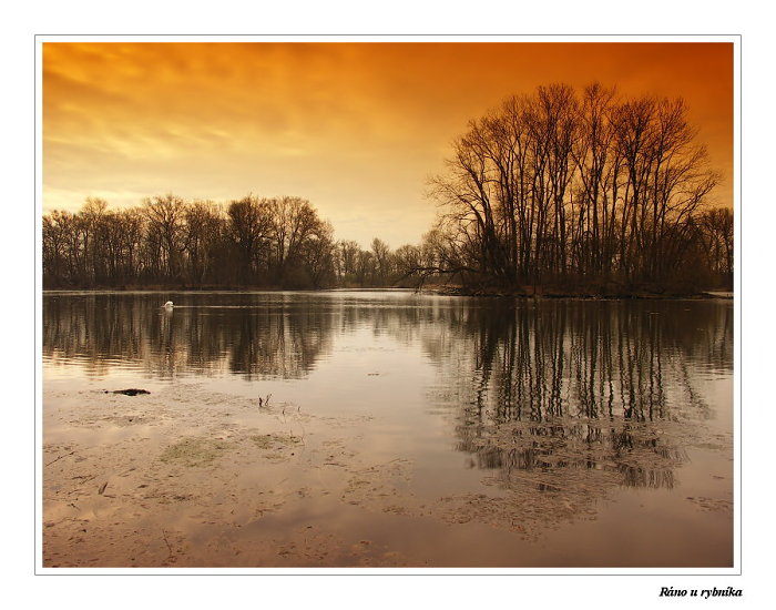 Ráno u rybníka