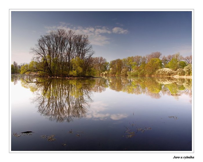 Jarní ráno u rybníka
