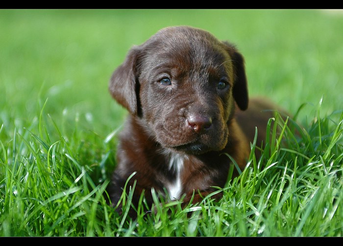 ..teprve 4 týdny za sebou :-)