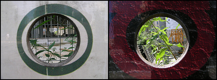 _I\'ll keep it in a hidden place_