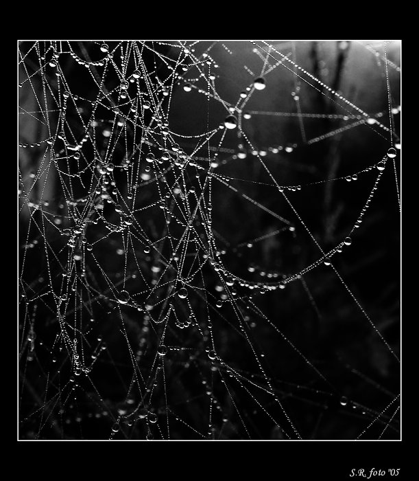 -- bariera --