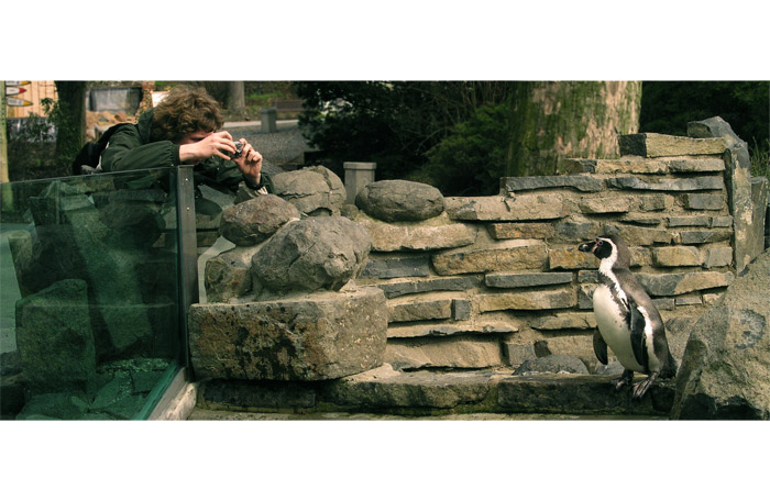 zoo tycoon