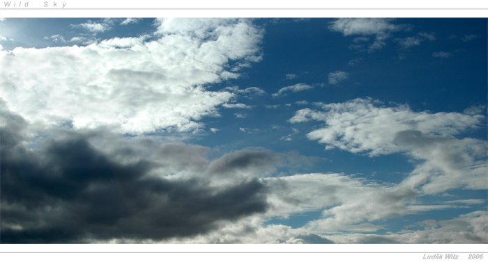 Wild Sky I