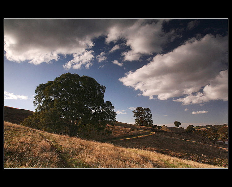 ~ Outback  ~