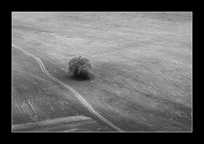 Solitér