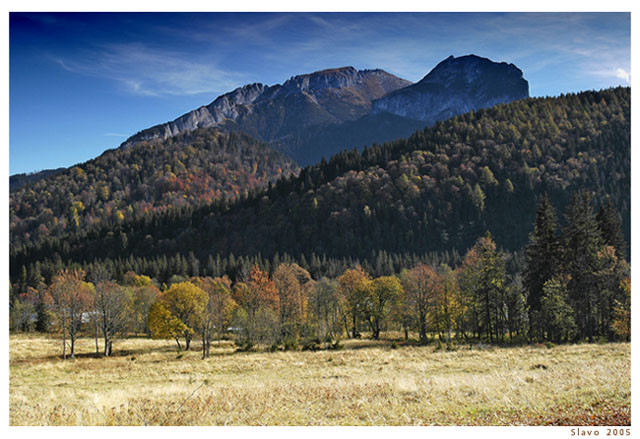 Muráň