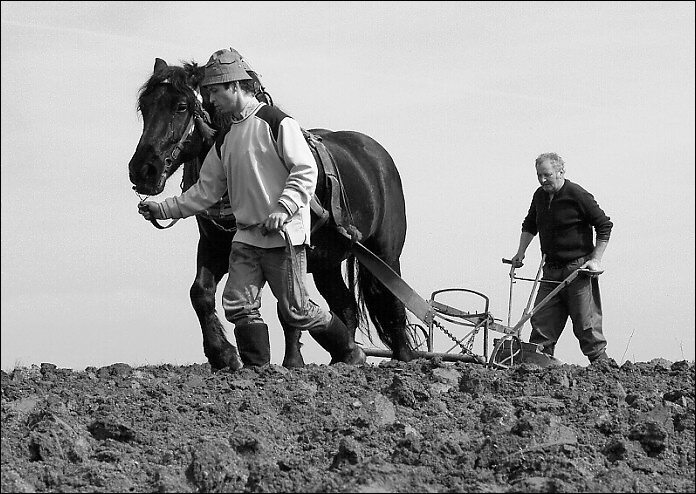 ...jako každý rok...