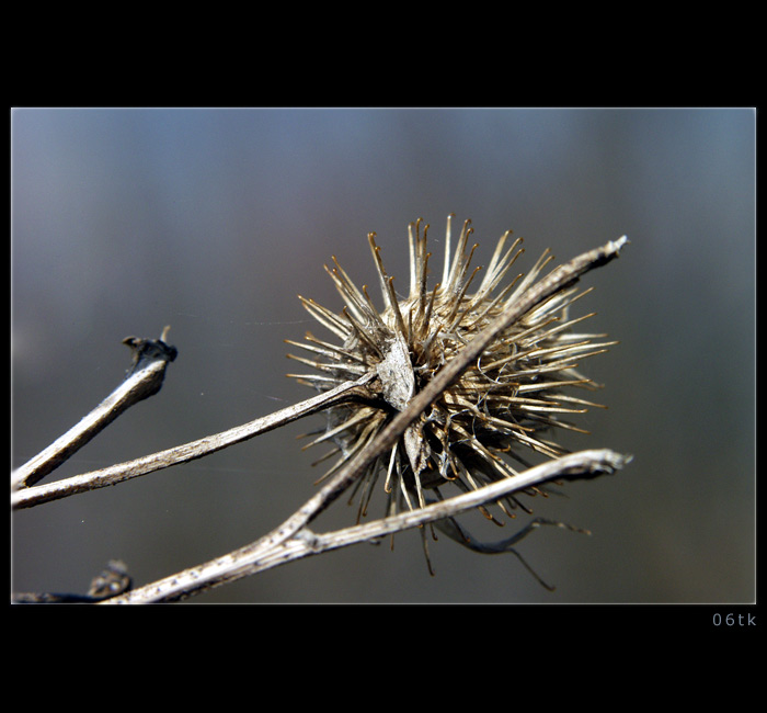 //* B O D L Á K [2]