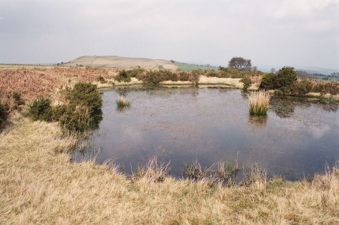 Wales 1