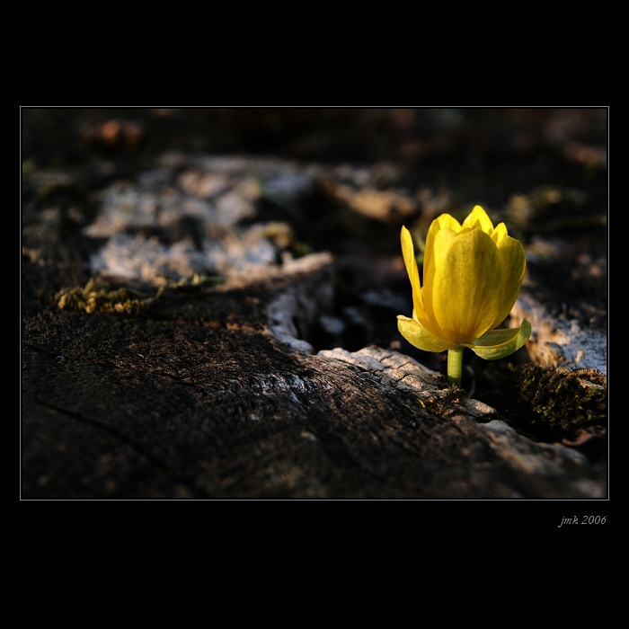 .. na spáleništi ..