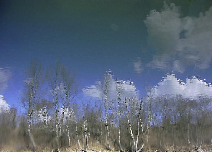 DigiMonet 180°