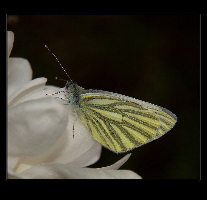 ...náhodné setkání...