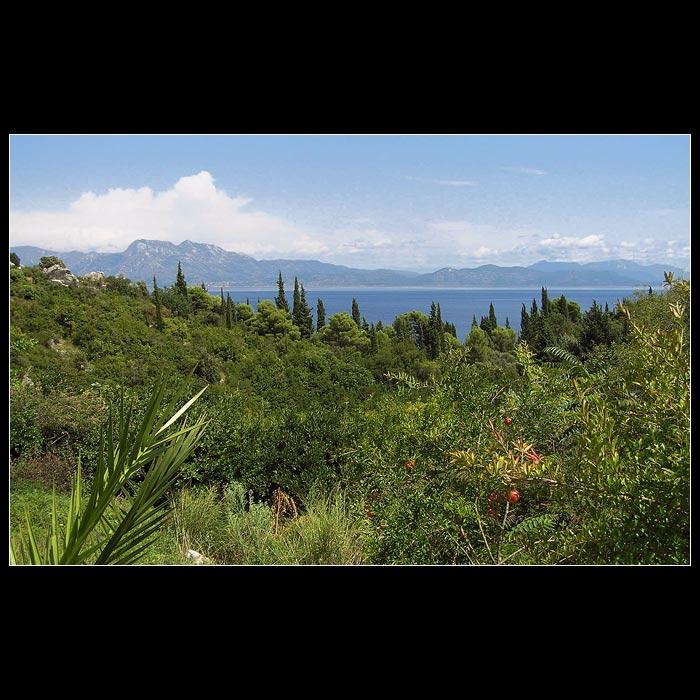 V zajetí zelené džungle