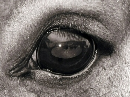 world in your eyes