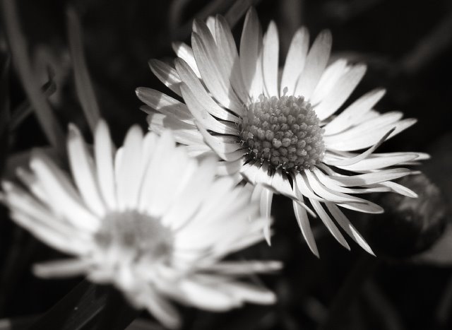 April microcosm