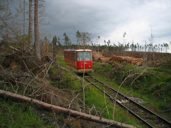 Vysoké Tatry po kalamitě