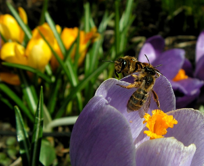 Najdi si svojí !!! ...