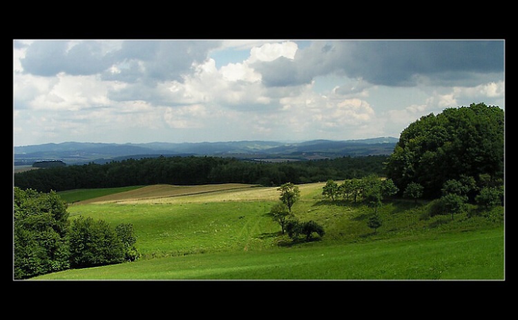 Želechovské paseky
