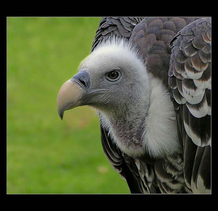 Smrt,je jeho živobytí
