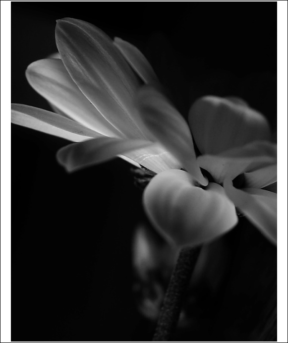 ~lit up I~