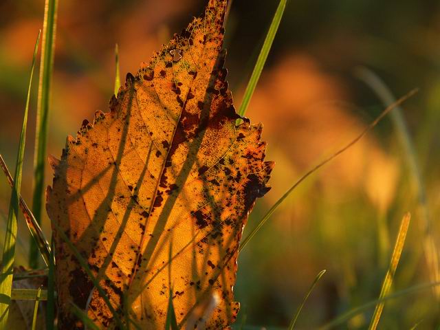 Panorama pro brouky 2